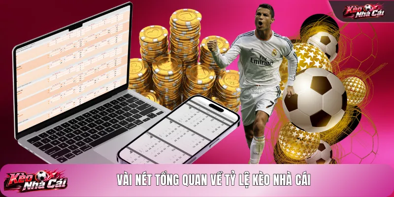 Vài nét tổng quan về tỷ lệ kèo nhà cái