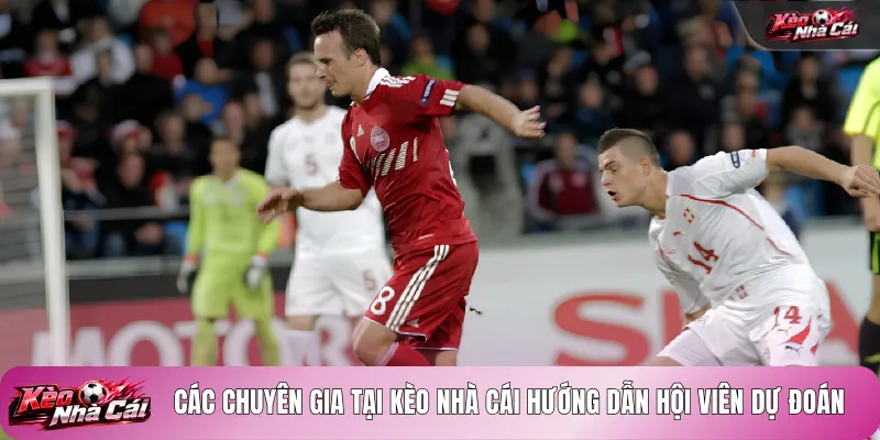 Các chuyên gia tại kèo nhà cái hướng dẫn hội viên dự đoán