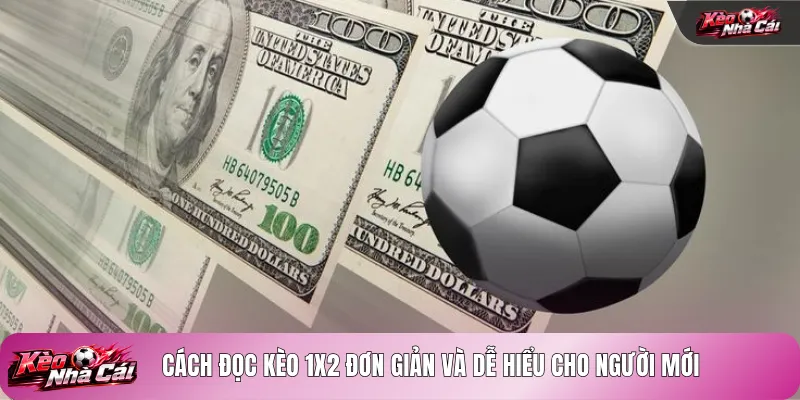 Cách đọc kèo 1X2 đơn giản và dễ hiểu cho người mới